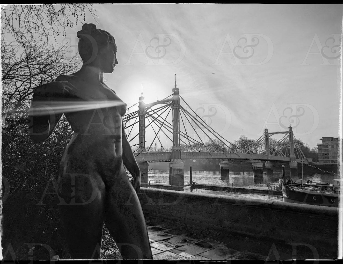 Albert Bridge Nude